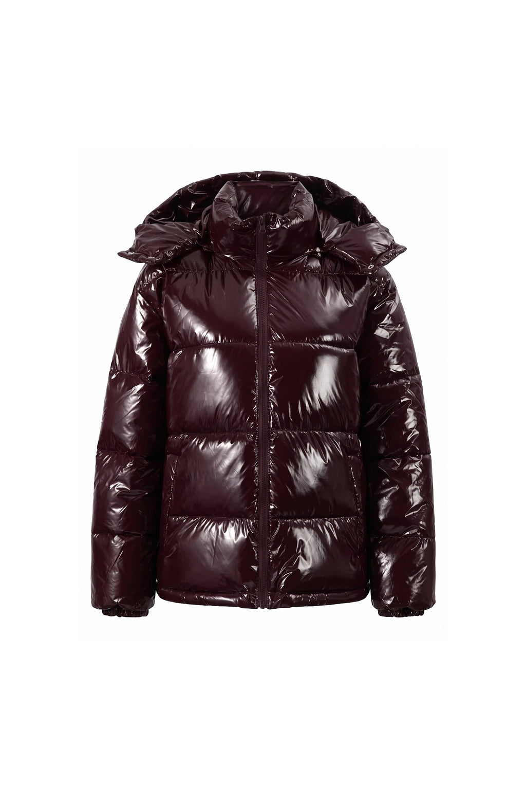 Women's Winter Warm Glossy Puffer Jacket with Hood